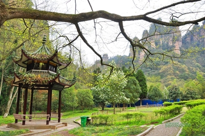 Парк, горы Улинъюань