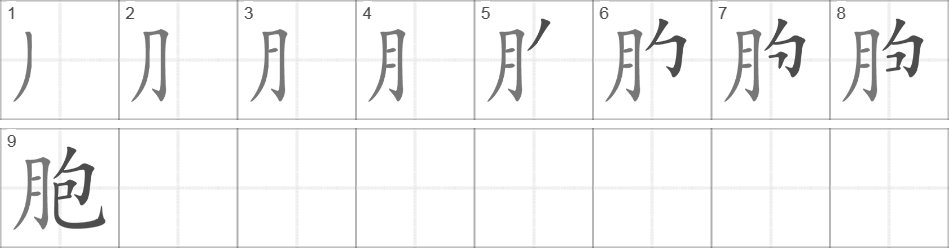 Написание иероглифа 胞