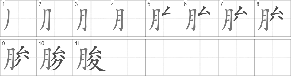 Написание иероглифа 朘