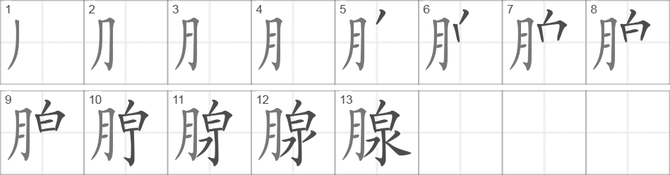 Написание иероглифа 腺