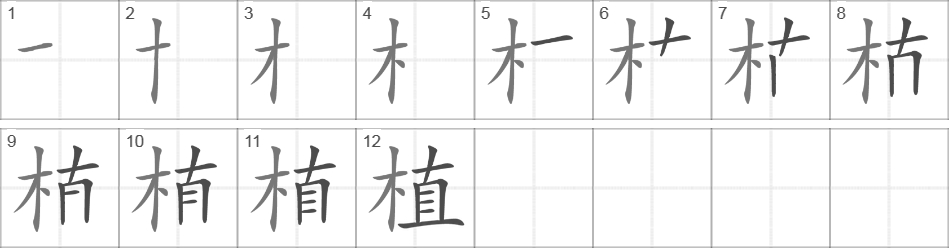 Написание иероглифа 植