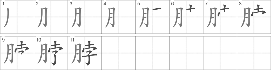 Написание иероглифа 脖