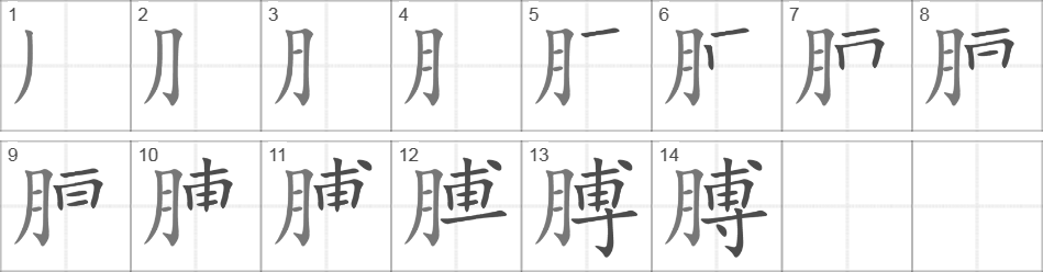 Написание иероглифа 膊