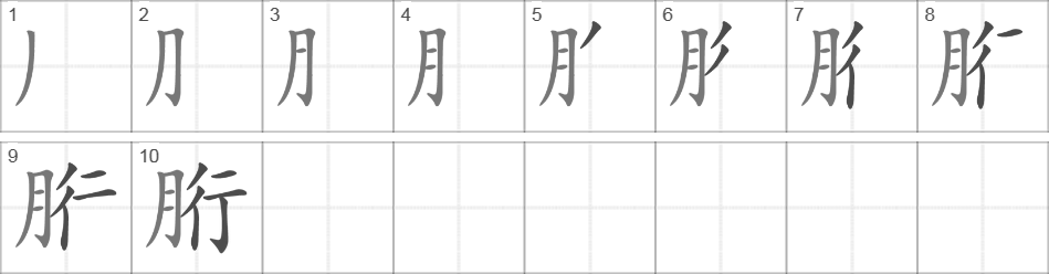 Написание иероглифа 胻