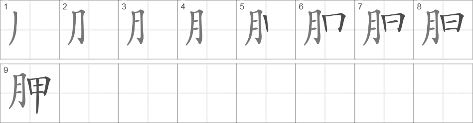 Написание иероглифа 胛