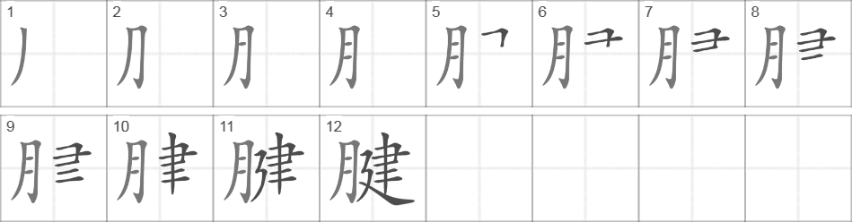 Написание иероглифа 腱