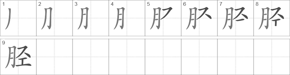 Написание иероглифа 胫