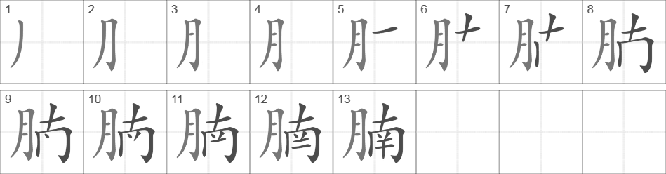 Написание иероглифа 腩