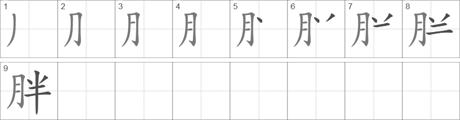 Написание иероглифа 胖