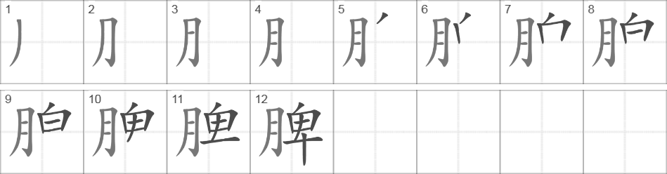 Написание иероглифа 脾