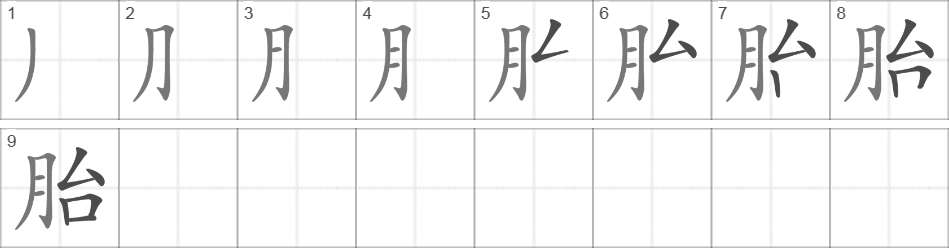 Написание иероглифа 胎