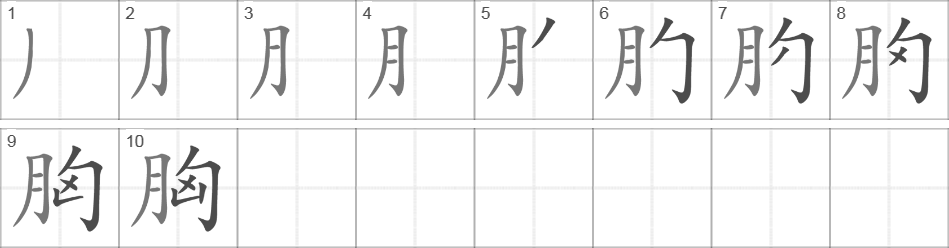 Написание иероглифа 胸