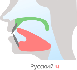 Произношение звука ч