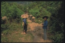 народности Китая