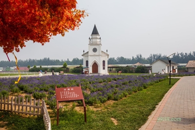 Усадьба лаванды