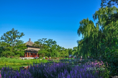 Парк Юаньминъюань