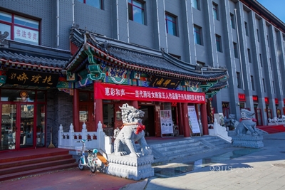 Львы, улица Люличан