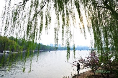 Парк Юйюаньтань