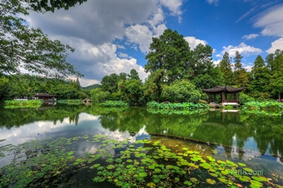 Озеро с лотосами, Ханчжоу