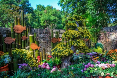 Цветы, Ханчжоу