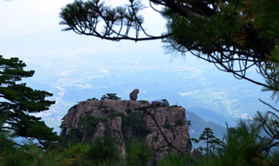 Горы Хуаншань