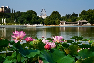 Разноцветье Хуайнань