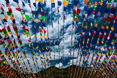 Флажки, Ланьчжоу