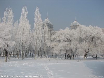 Иней в Гирине