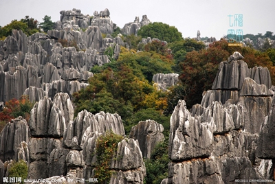 Куньмин, Шилин