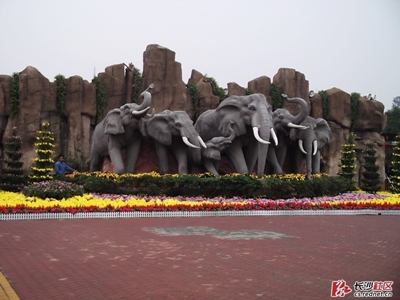 Зоопарк, Чанша