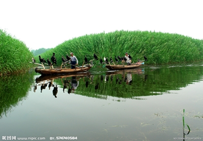 Рыбалка с бакланами, Хэбэй