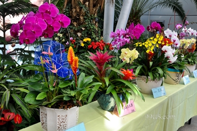 Ботанический сад