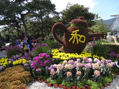 Фигуры из растений, ботанический сад