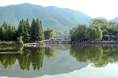 Пейзаж, ботанический сад