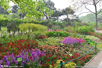 Клумбы, ботанический сад