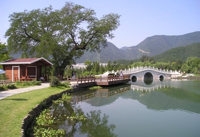 Мост, ботанический сад