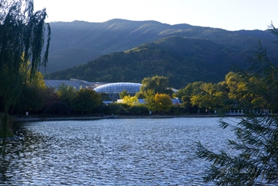 Вид издали, ботанический сад