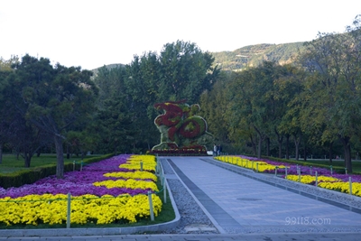 Клумбы, ботанический сад