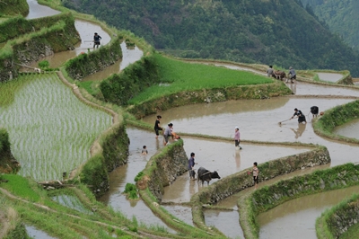 Крестьяне в Гуйчжоу