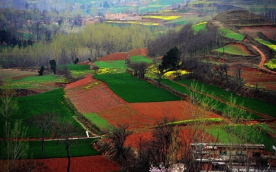 Поля, Лоян, Хэнань