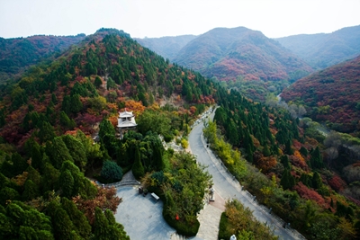 Леса, Шаньдун