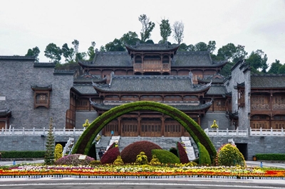 18 Хризантем, выставка, Чунцин