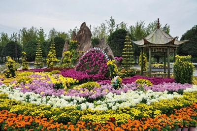 18 Хризантем, выставка, Чунцин