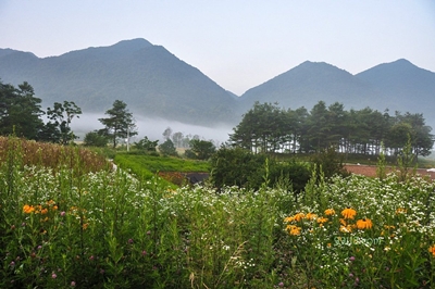 Хунчиба, Уси, Чунцин