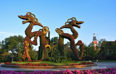 Зеленая скульптура, Остров Солнца, Харбин