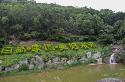 Сад Экспо, Шэньчжэнь