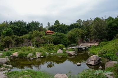 Сад Экспо, Шэньчжэнь