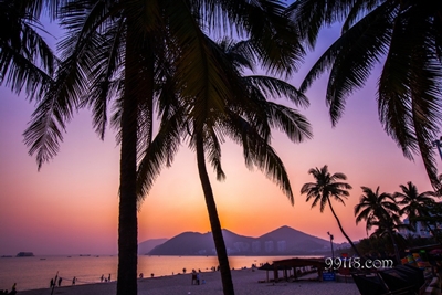 Море, пальмы на закате, Санья