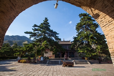 Сосны, Мэйдайчжао, Баотоу