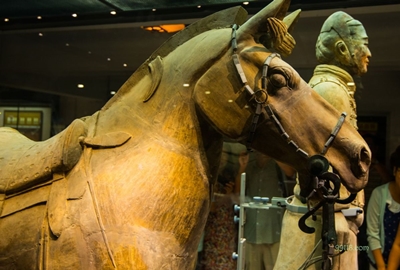 Солдат с лошадью